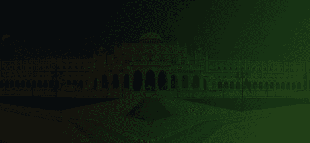 SMCMS (Government Services Processing System) background